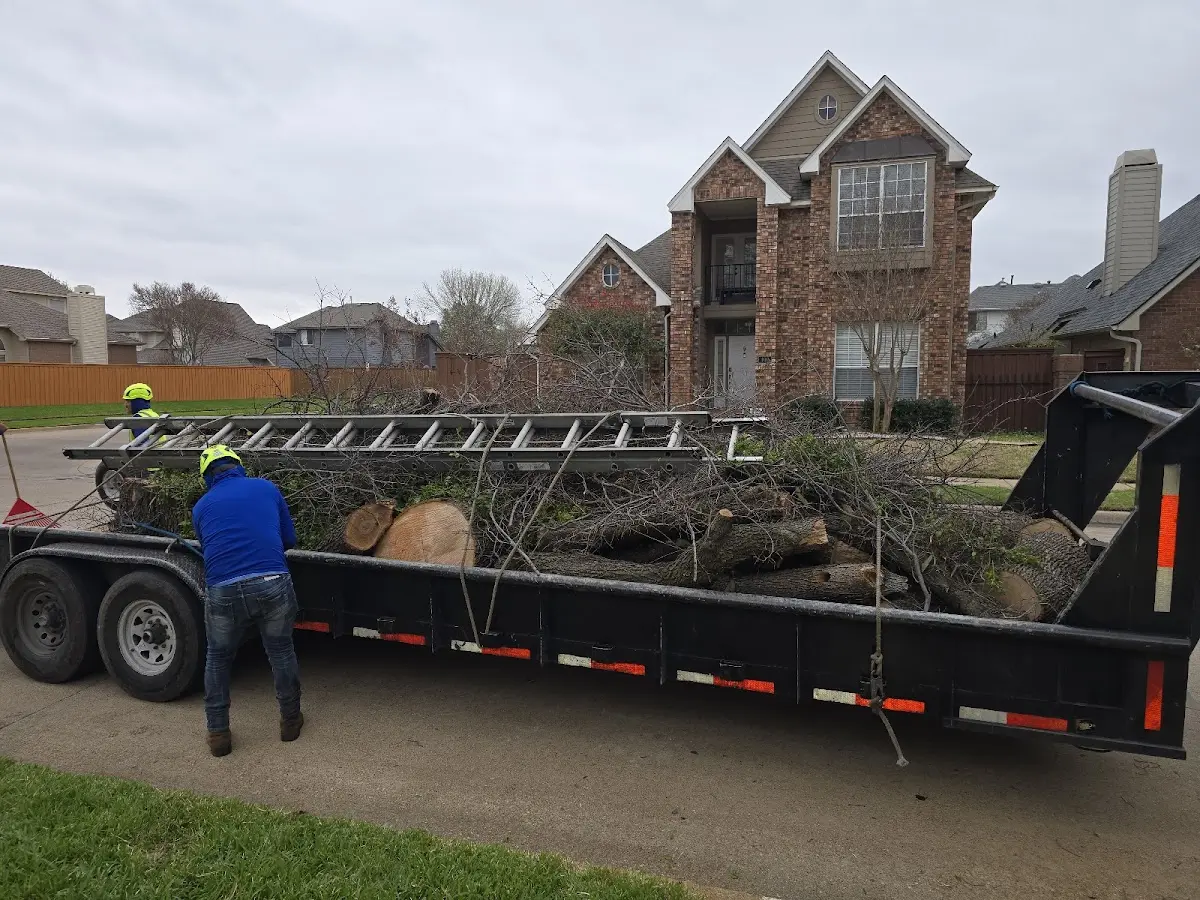 Expert Tree Fertilization with proper safety equipment in Whiting